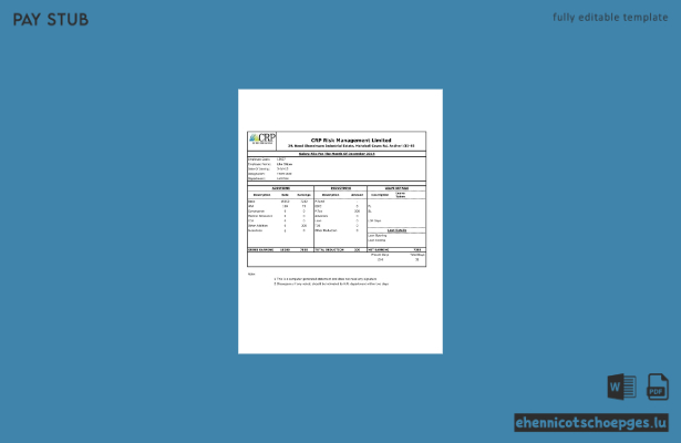 Gehaltsabrechnungsbeispiel von India CRP Risk Management Limited